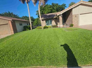 Melissa U.'s grass maintenance service result