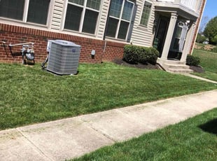 Austin B.'s lawn service service result