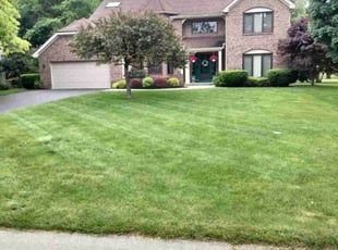 Stevie B.'s turf maintenance service result