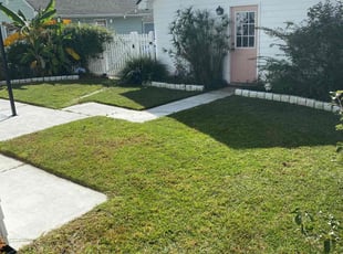 David B.'s turf care service result