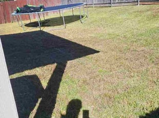 Ryan R.'s lawn care service result