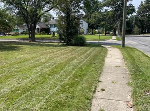 Jacqueline S.'s lawn service service result