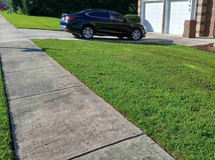 Lawrence S.'s turf care service result