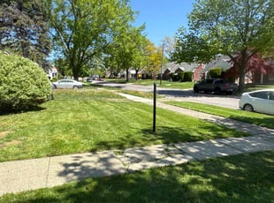 Lee B.'s Long Grass Cleanup service result