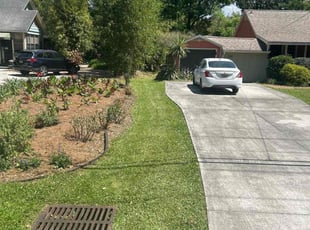 Adam W.'s lawn care service result