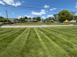 Larenzo A.'s grass cutting service result