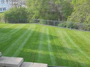 Miguel M.'s lawn service service result