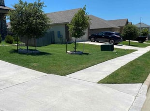 Patricia D.'s turf maintenance service result