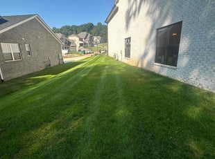 Michelle E.'s turf maintenance service result
