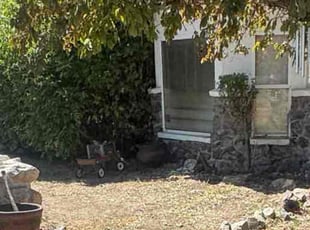 Cameron L.'s Bush Trimming service result