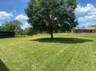 Fabrício d.'s lawn care service result