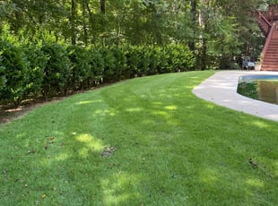 Scarlett G.'s lawn care services service result