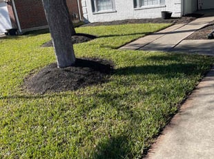 Amy B.'s Leaf Removal service result