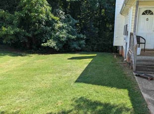 Vishal S.'s grass maintenance service result
