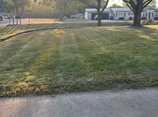 Naga P.'s lawn service service result