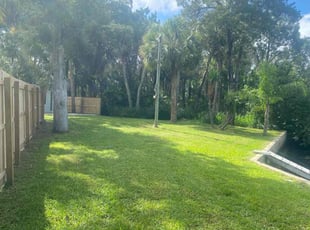 Ruthie V.'s turf care service result