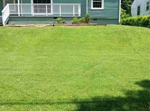 Breeanna F.'s turf maintenance service result