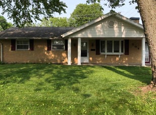Anissa D.'s lawn care services service result