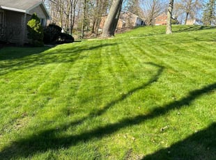 Harold D.'s lawn service service result