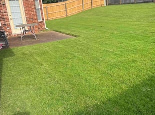 Tasha N.'s turf care service result