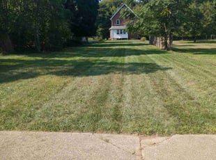 Allan A.'s turf care service result