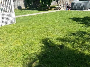 Jodi D.'s grass maintenance service result