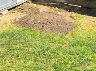 Amanda L.'s Bush Trimming service result