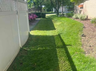 G. V.'s grass cutting service result