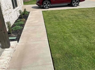 TELISHA B.'s lawn maintenance service result