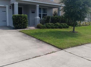 Linda C.'s turf maintenance service result