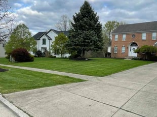 Susan N.'s yard maintenance service result