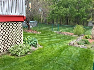 Paula S.'s lawn maintenance service result