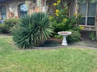 Kate B.'s lawn service service result