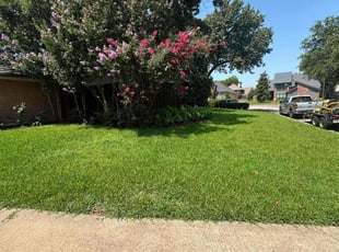 Nicole H.'s lawn service service result