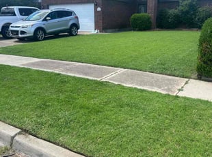 Joel Z.'s lawn service service result