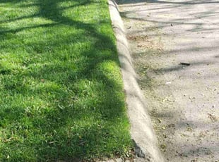 Bill D.'s lawn care service result