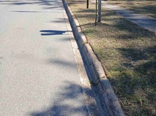 Mike R.'s turf maintenance service result