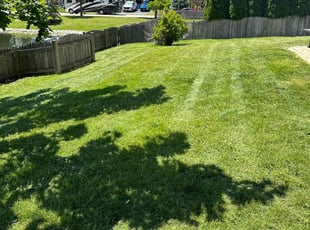 Tony N.'s lawn service service result
