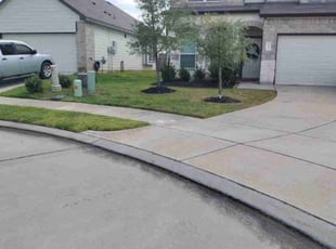 Larry P.'s lawn care service result