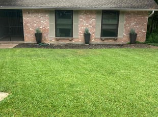 Rick B.'s lawn maintenance service result