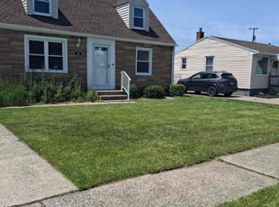 Thelia S.'s lawn service service result