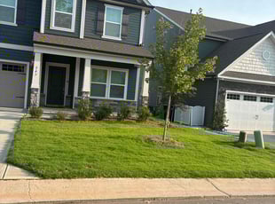 Jautavia S.'s lawn care service result
