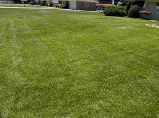 Brandon V.'s grass cutting service result