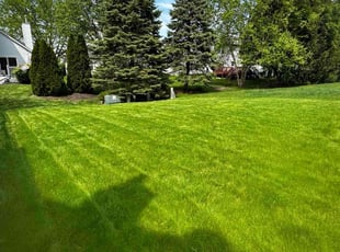 Marie J.'s turf maintenance service result