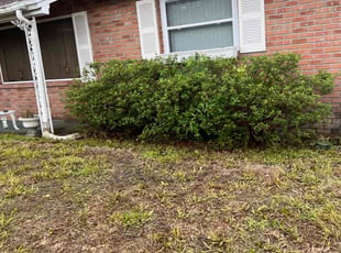 Craig M.'s Bush Trimming service result