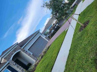 Sondra B.'s turf care service result
