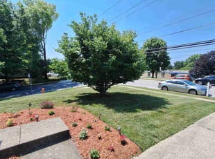 Temitope K.'s Bush Trimming service result