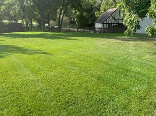 Lori M.'s grass cutting service result