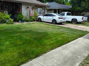 Diana B.'s lawn care services service result