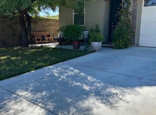 Betti S.'s turf care service result